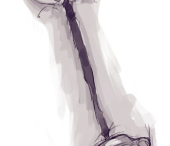 picture 28.png