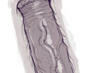 picture 30.png