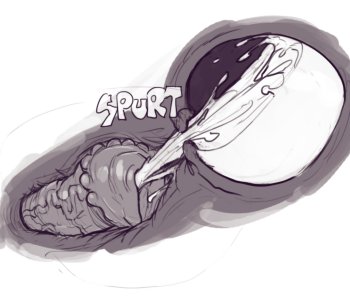 picture 40.png