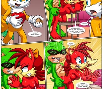 picture 03.png