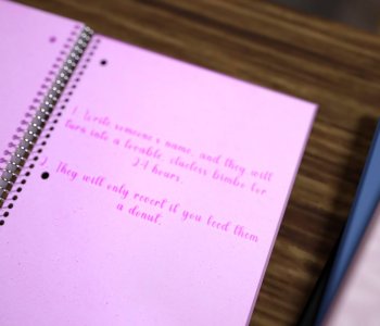 picture 29.jpg