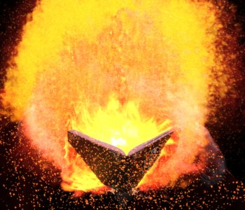 picture 13.jpg