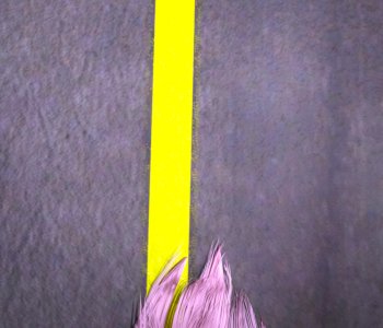 picture 37.png