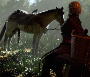 Ciri's Unfortunate Break Porn Comics
