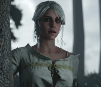 Witcher Contract - The Fiend Porn Comics