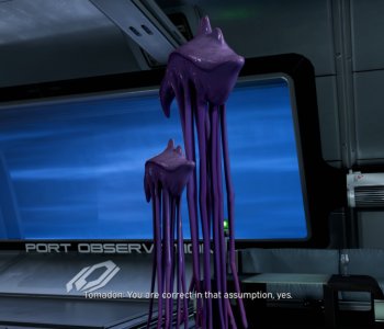 picture 48.png