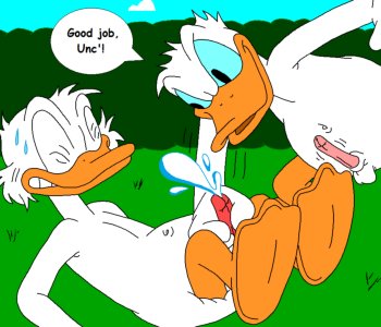 picture 38.png