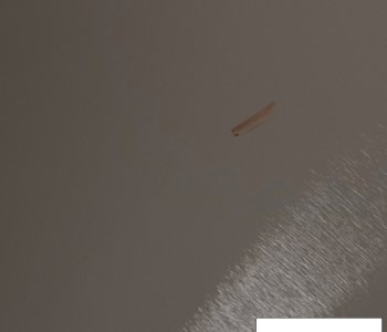 picture 43.jpg