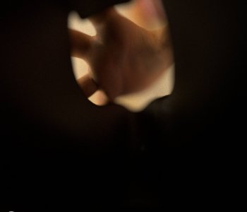 picture 43.jpg