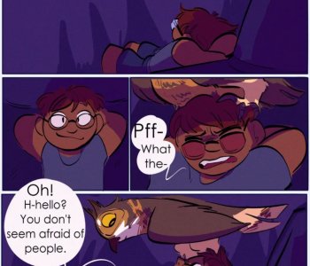 Hearing A Hoot For You Porn Comics