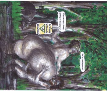 picture 20.jpg