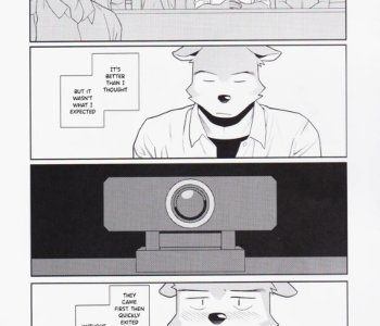 picture 19.jpg