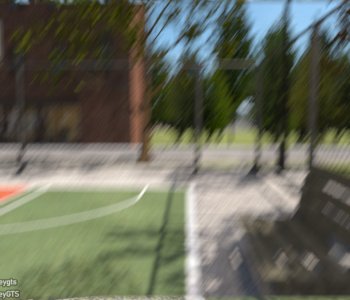 picture 25.jpg
