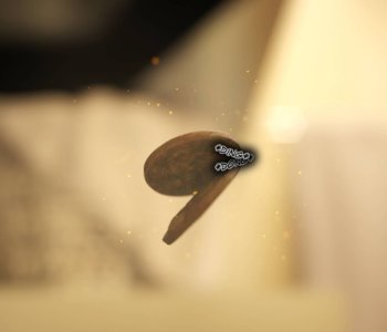 picture 10.jpg
