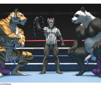 Tug Of War! Porn Comics