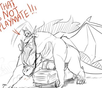 picture 02.jpg
