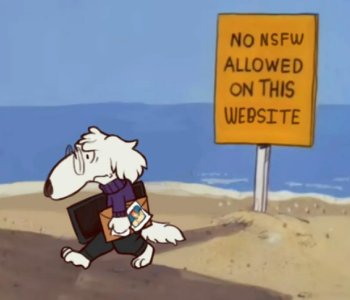 picture 11.jpg