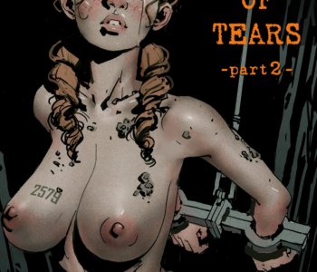 Fansadox Album and Other Porn Comics