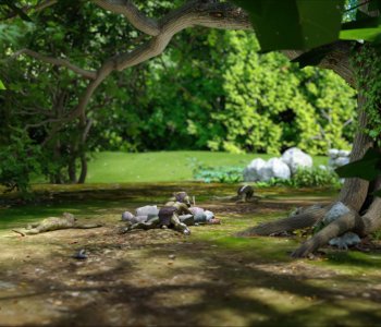 picture 47.jpg